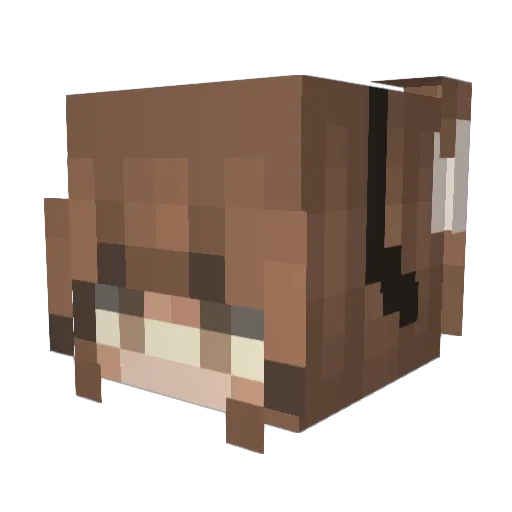 MAGGY2124 Minecraft avatar head, 3D render