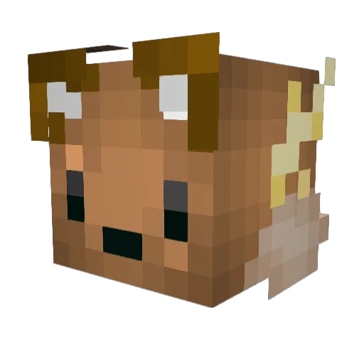 MAGICBUTTER87 Minecraft avatar head, 3D render