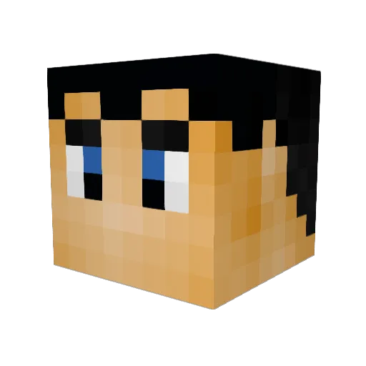 MAGSO4 Minecraft avatar head, 3D render