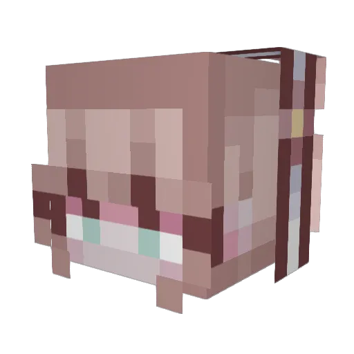 MAI_REI Minecraft avatar head, 3D render