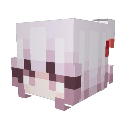 MAJ1N11 Minecraft avatar head, 3D render