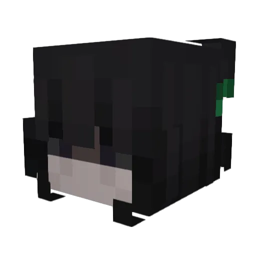 MALDITOGATO Minecraft avatar head, 3D render