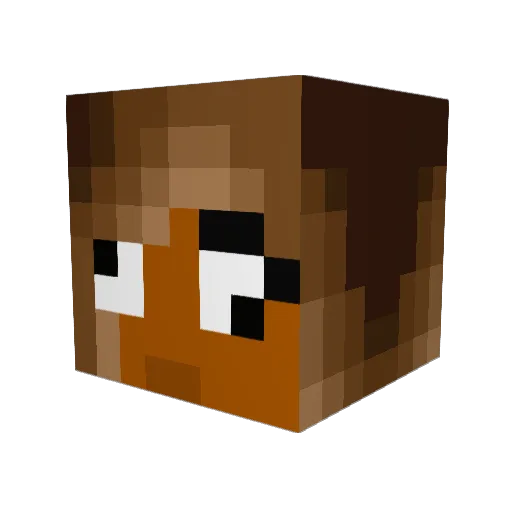 MAMWOOO Minecraft avatar head, 3D render