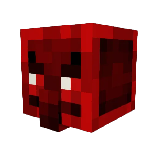 MANGOMAN1333 Minecraft avatar head, 3D render
