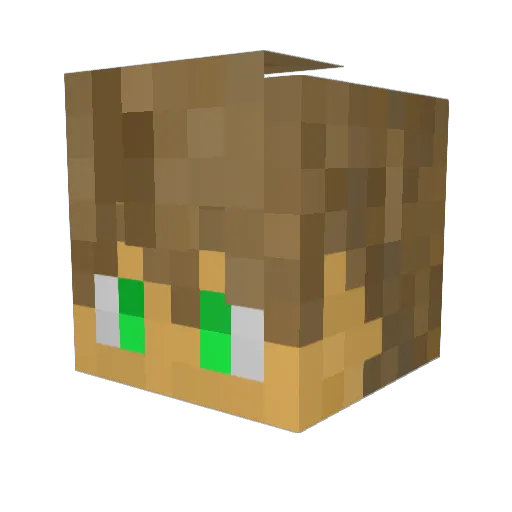 MANWE0 Minecraft avatar head, 3D render