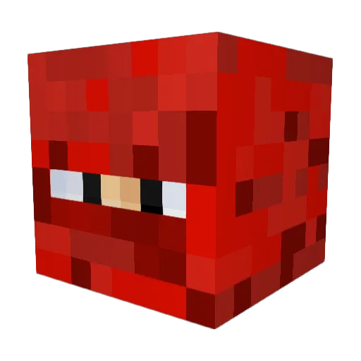 MAPACHEzombie14 Minecraft avatar head, 3D render