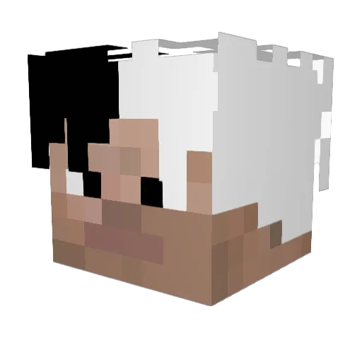 MARME11 Minecraft avatar head, 3D render