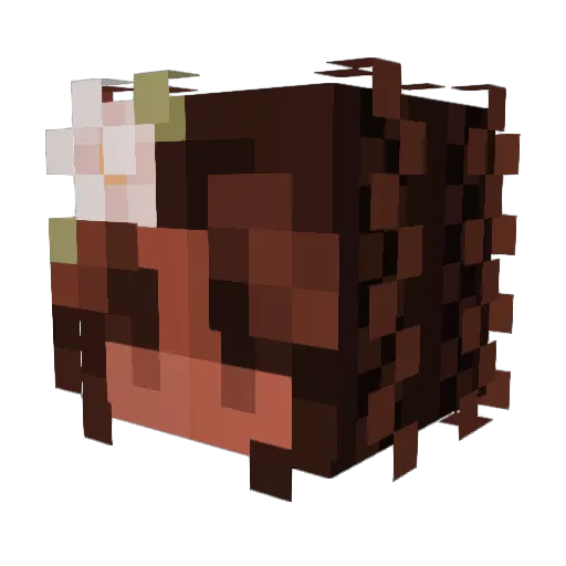 MARSTAR12 Minecraft avatar head, 3D render