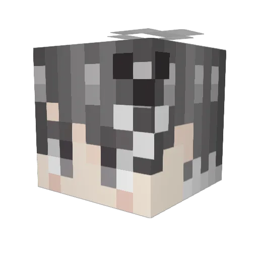 MASAL1204 Minecraft avatar head, 3D render