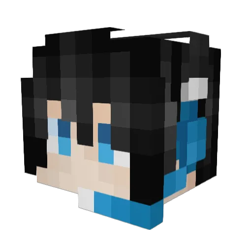 MAT0101 Minecraft avatar head, 3D render