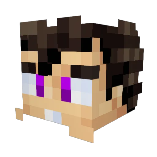 MATINHO08031 Minecraft avatar head, 3D render