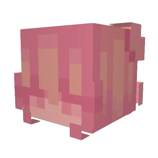 MATTCODE489 Minecraft avatar head, 3D render