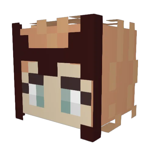 MATTMCRAFT Minecraft avatar head, 3D render