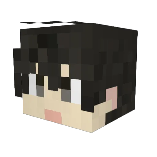 MAT_vv Minecraft avatar head, 3D render