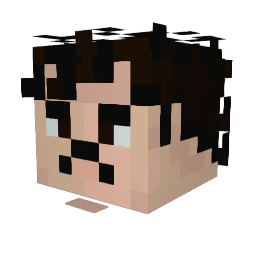 MAXSTER250 Minecraft avatar head, 3D render