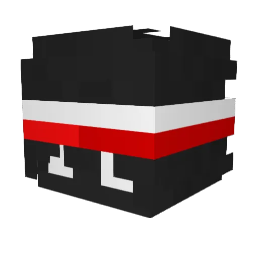 MAXTHEMONKE10 Minecraft avatar head, 3D render