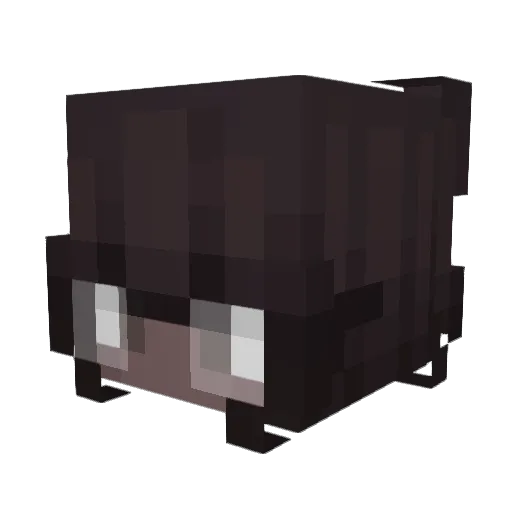MAXgames22 Minecraft avatar head, 3D render