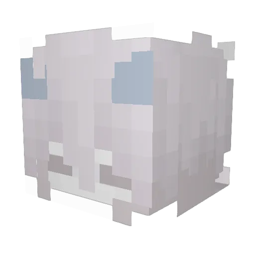 MAYER_UwU Minecraft avatar head, 3D render