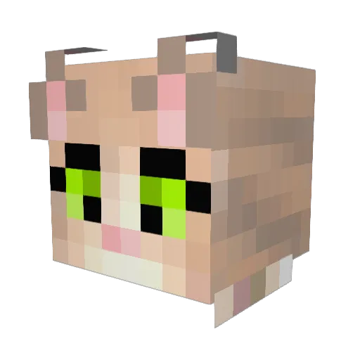 MAZN20 Minecraft avatar head, 3D render