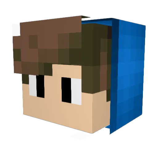 MApavelDMI Minecraft avatar head, 3D render