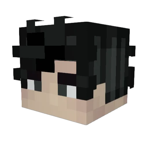 MBTAFan1150 Minecraft avatar head, 3D render