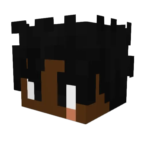 MBTLC Minecraft avatar head, 3D render