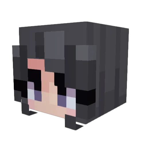 MCCoolDong Minecraft avatar head, 3D render