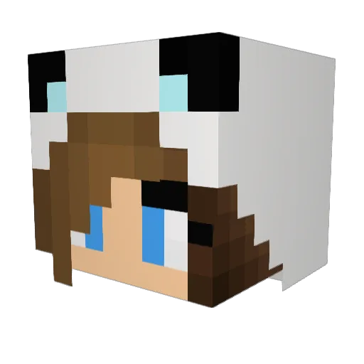 MCDragon1010 Minecraft avatar head, 3D render