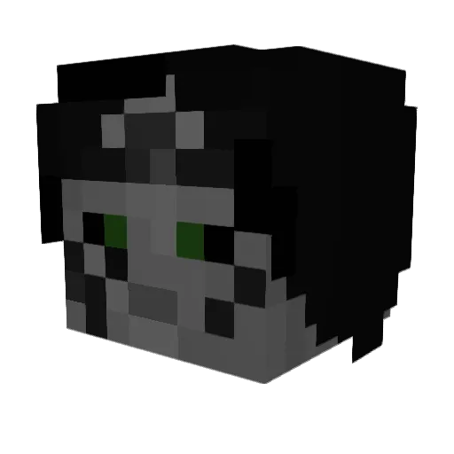 MCELXY Minecraft avatar head, 3D render