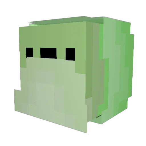 MCGamer0311 Minecraft avatar head, 3D render