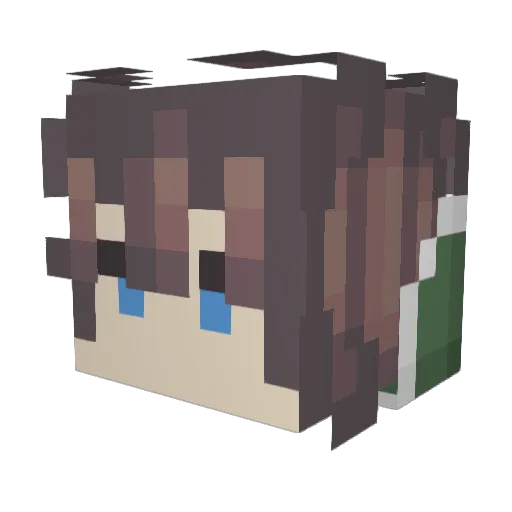 MCGamerWyatt Minecraft avatar head, 3D render