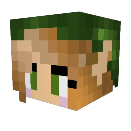 MCGamer_17 Minecraft avatar head, 3D render