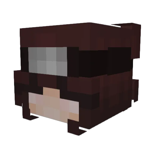 MCGroomer Minecraft avatar head, 3D render