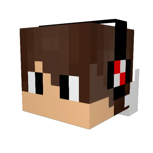 MCJshin Minecraft avatar head, 3D render