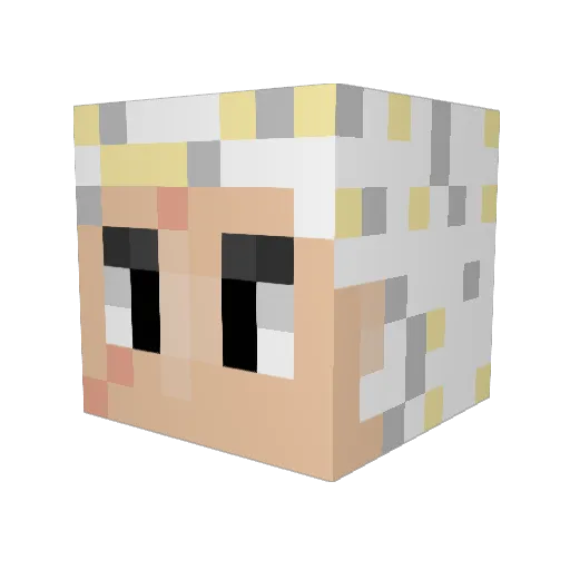 MCMHAS Minecraft avatar head, 3D render