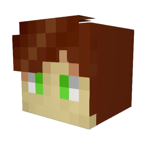 MCModder Minecraft avatar head, 3D render