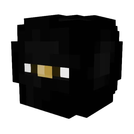 MCNinja275 Minecraft avatar head, 3D render