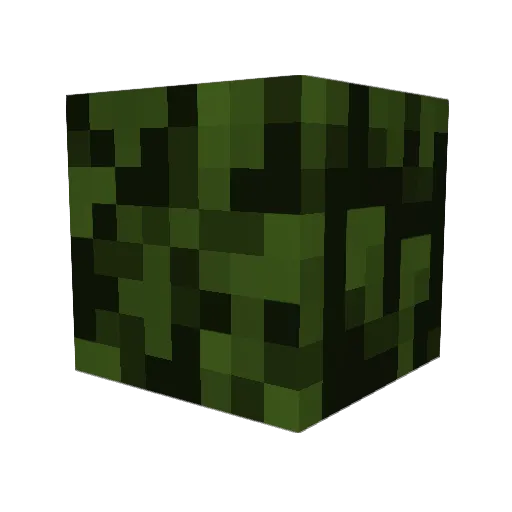 MCPlay3rX55 Minecraft avatar head, 3D render