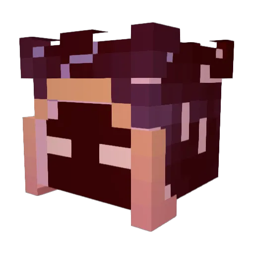 MCSeem1998 Minecraft avatar head, 3D render