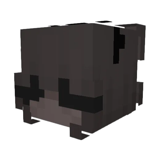MCShawn8 Minecraft avatar head, 3D render
