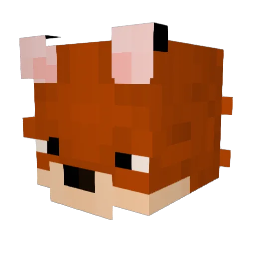 MCTgamer Minecraft avatar head, 3D render