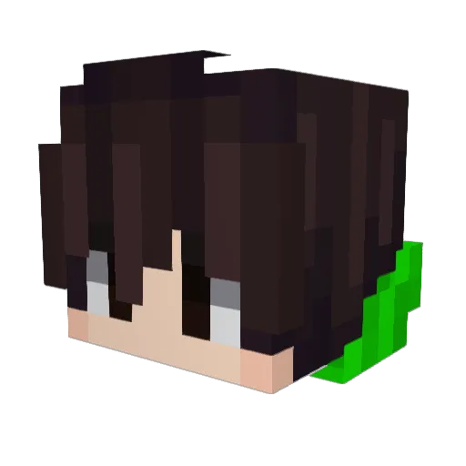 MCWOD Minecraft avatar head, 3D render