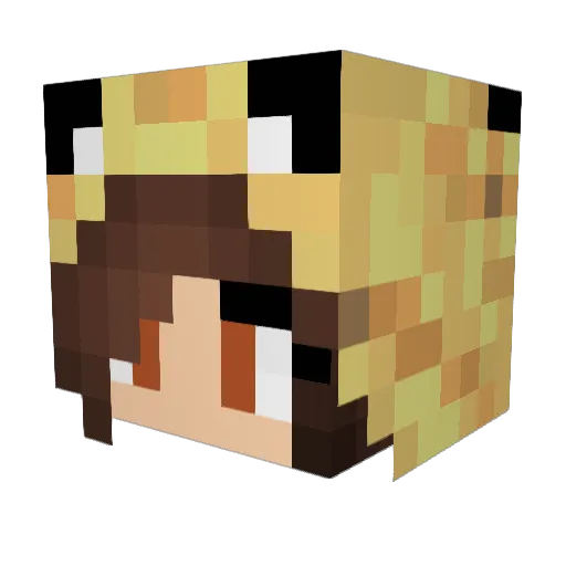MCYoon_A Minecraft avatar head, 3D render