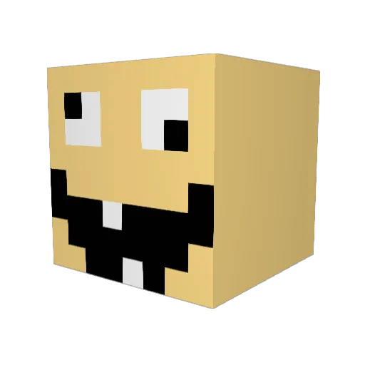 MC_DERP_GAMER Minecraft avatar head, 3D render