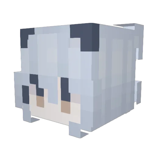 MC_Don Minecraft avatar head, 3D render