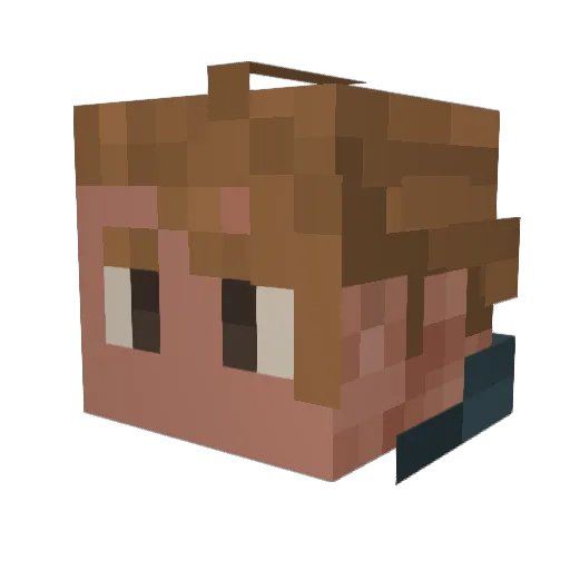 MC_Enjoyer Minecraft avatar head, 3D render