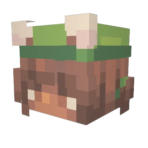 MC_Leia Minecraft avatar head, 3D render