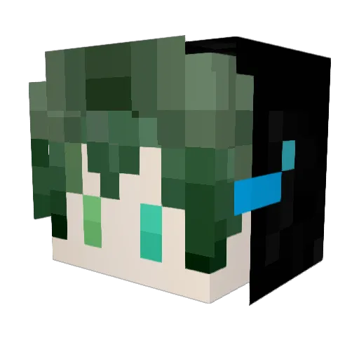 MC_Qim Minecraft avatar head, 3D render