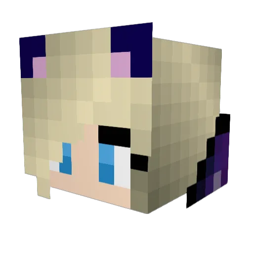 MC_User Minecraft avatar head, 3D render