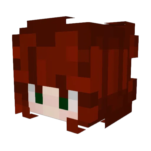 MC_dumpling5 Minecraft avatar head, 3D render